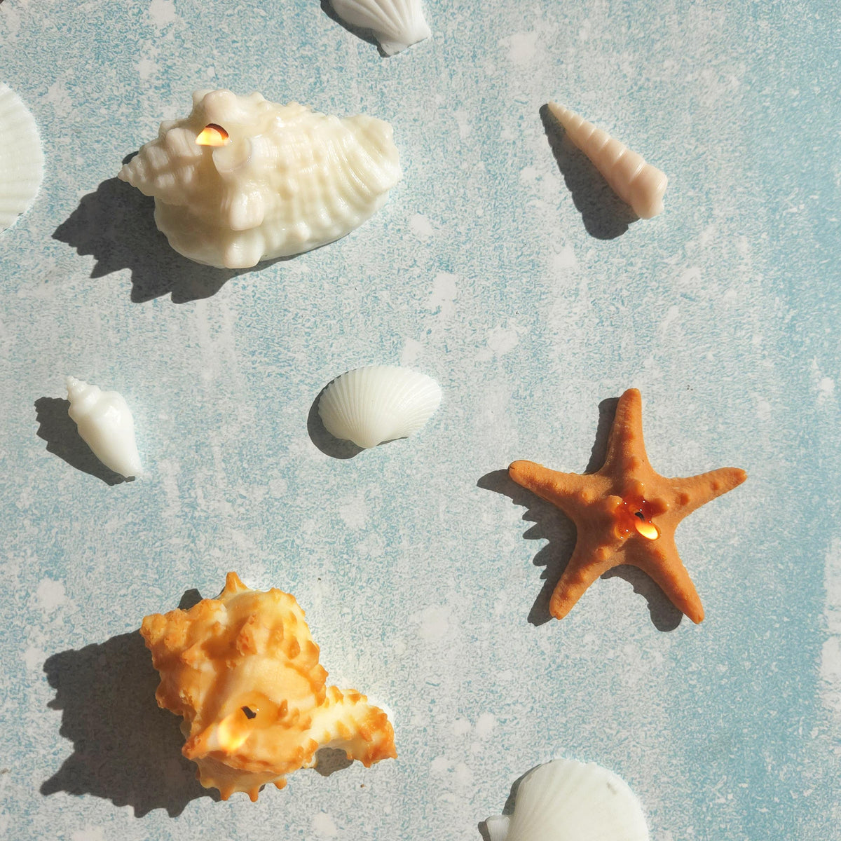 Sea Shell Candle | Coastal Beach Scents | Ocean-Inspired Gift | Handmade Soy Wax|Ocean Gift Set