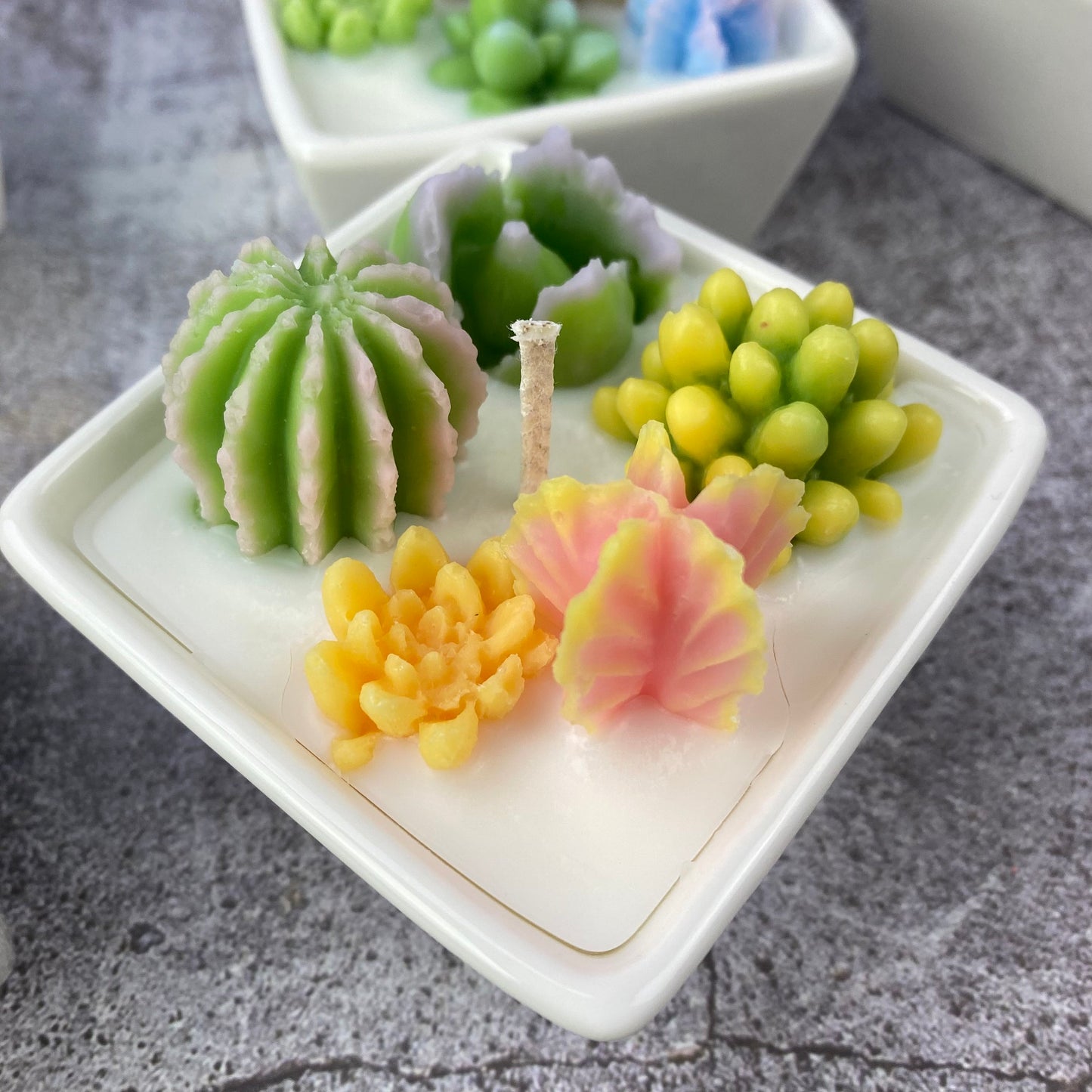 Succulent container handmade candle | scented succulent candle | Succulent lovers| Succulent garden｜Cactus Gardens candle | desk plant