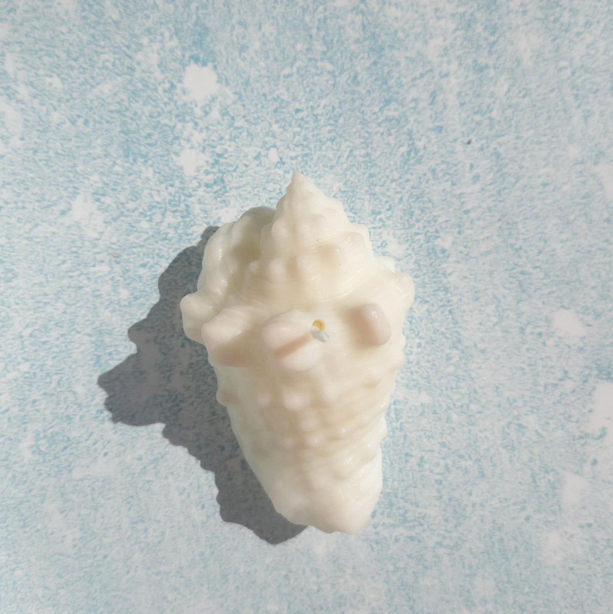 Sea Shell Candle | Coastal Beach Scents | Ocean-Inspired Gift | Handmade Soy Wax｜Ocean Gift Set