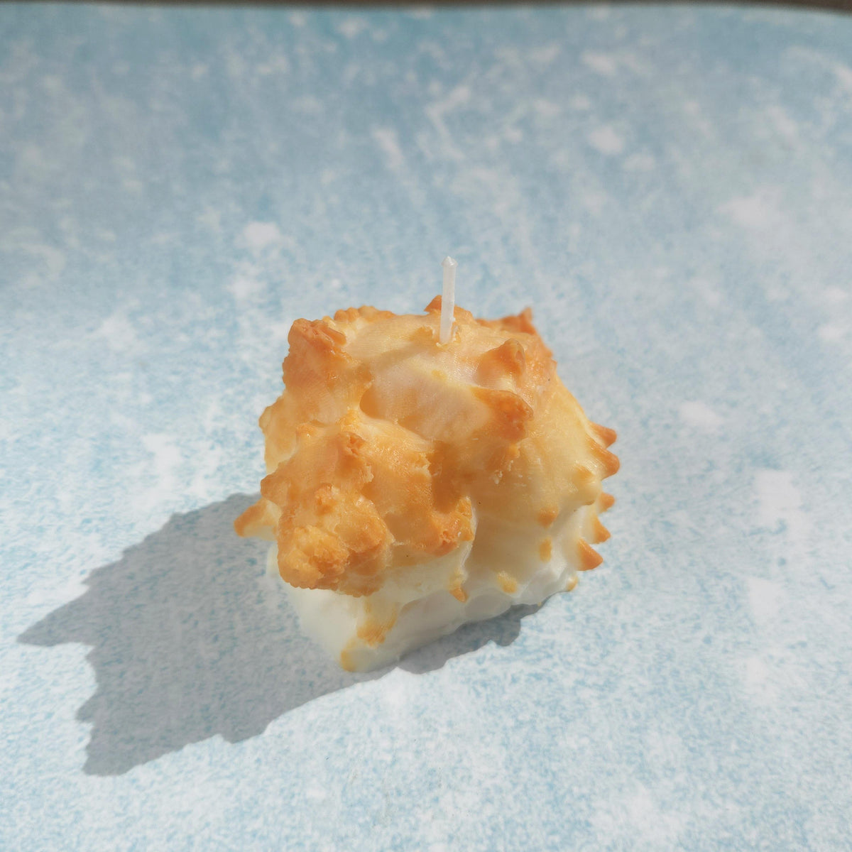 Sea Shell Candle | Coastal Beach Scents | Ocean-Inspired Gift | Handmade Soy Wax｜Ocean Gift Set