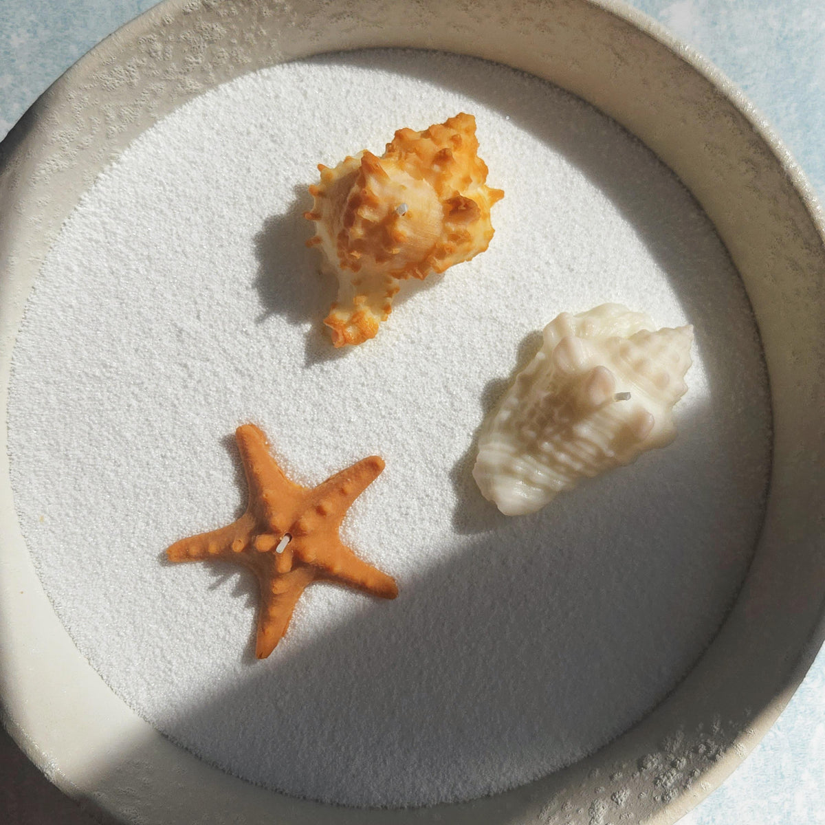 Sea Shell Candle | Coastal Beach Scents | Ocean-Inspired Gift | Handmade Soy Wax｜Ocean Gift Set