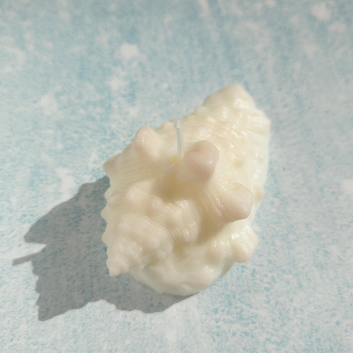 Sea Shell Candle | Coastal Beach Scents | Ocean-Inspired Gift | Handmade Soy Wax｜Ocean Gift Set