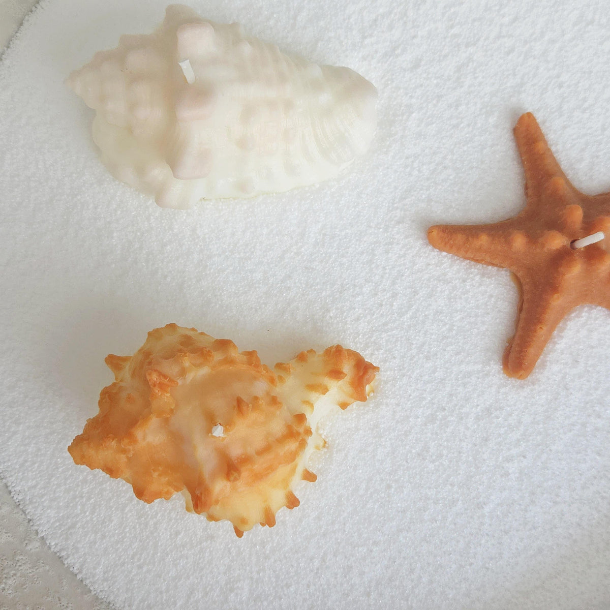 Sea Shell Candle | Coastal Beach Scents | Ocean-Inspired Gift | Handmade Soy Wax｜Ocean Gift Set