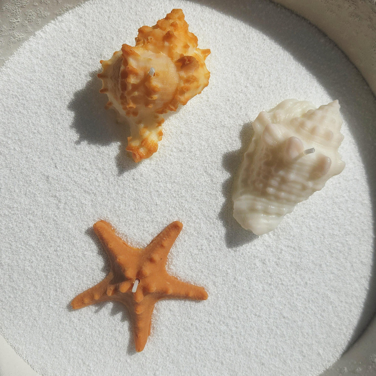 Sea Shell Candle | Coastal Beach Scents | Ocean-Inspired Gift | Handmade Soy Wax｜Ocean Gift Set