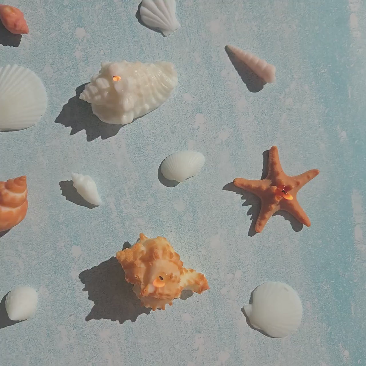 Sea Shell Candle | Coastal Beach Scents | Ocean-Inspired Gift | Handmade Soy Wax｜Ocean Gift Set