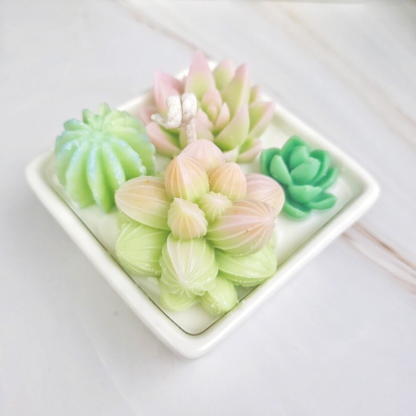 Succulent container handmade candle | scented succulent candle | Succulent lovers| Succulent garden｜Cactus Gardens candle | desk plant