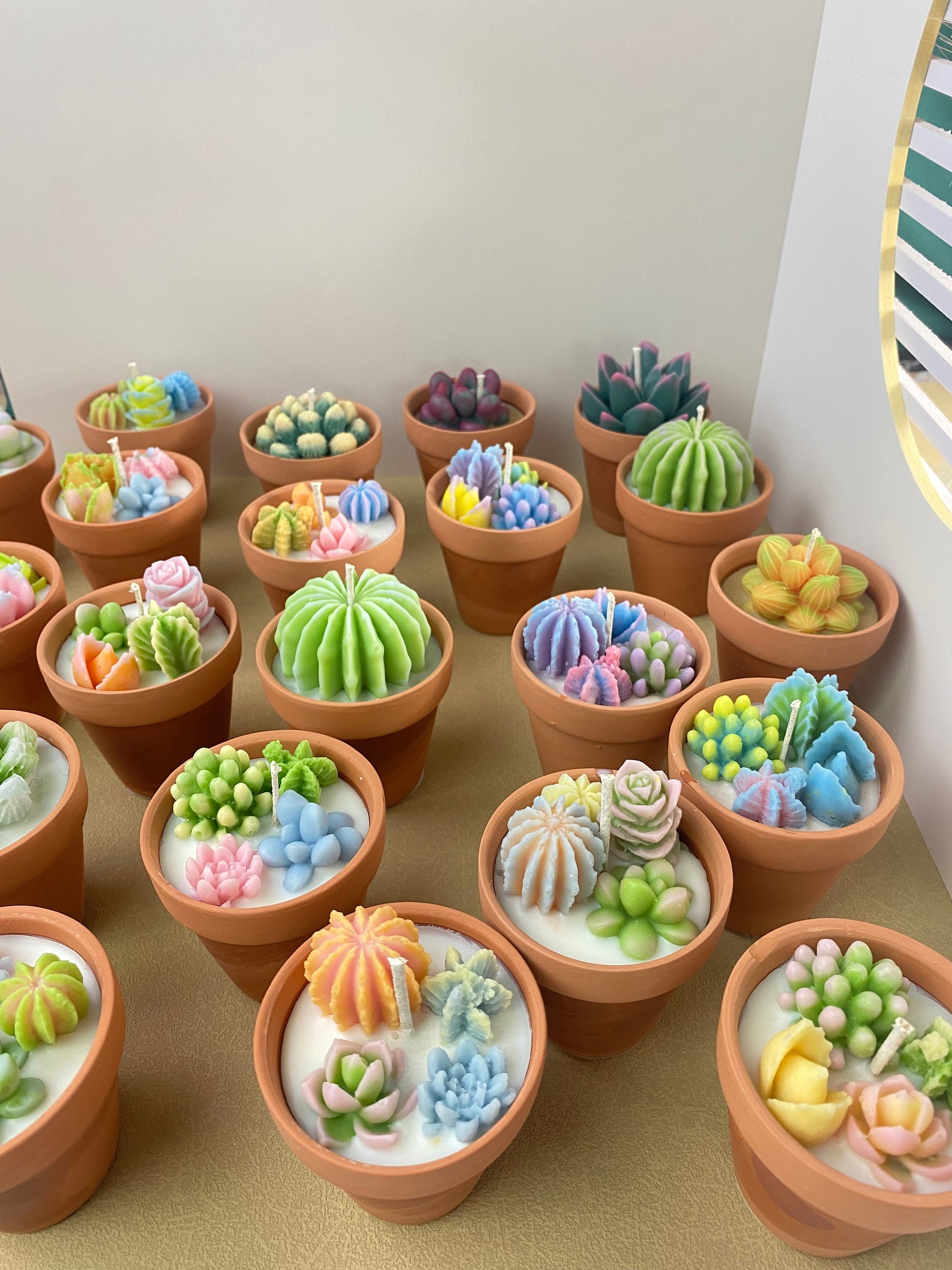 candle succulent Cactus Ceramic Pot Candle