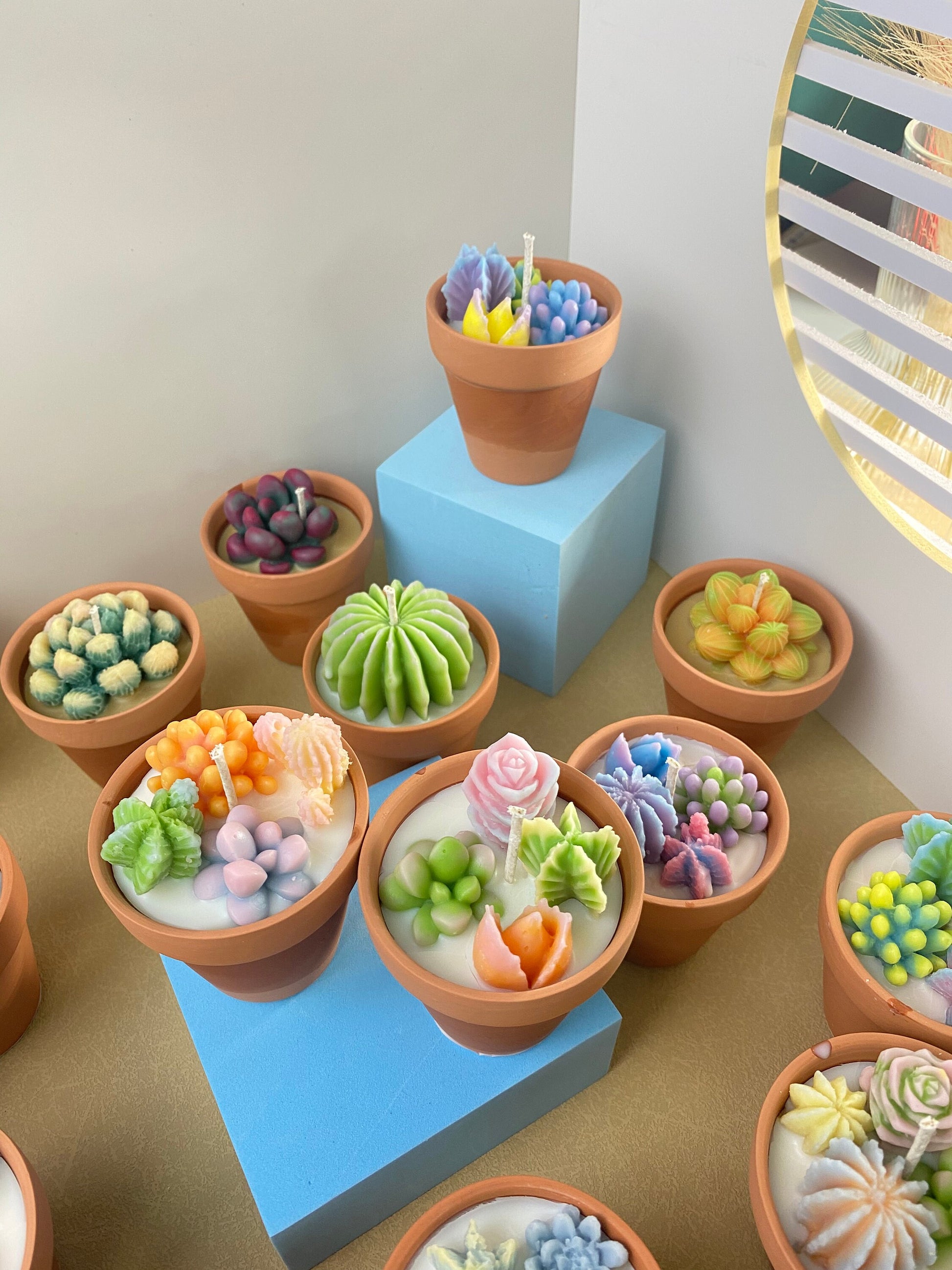 succulent candle Cactus Ceramic Pot Candle