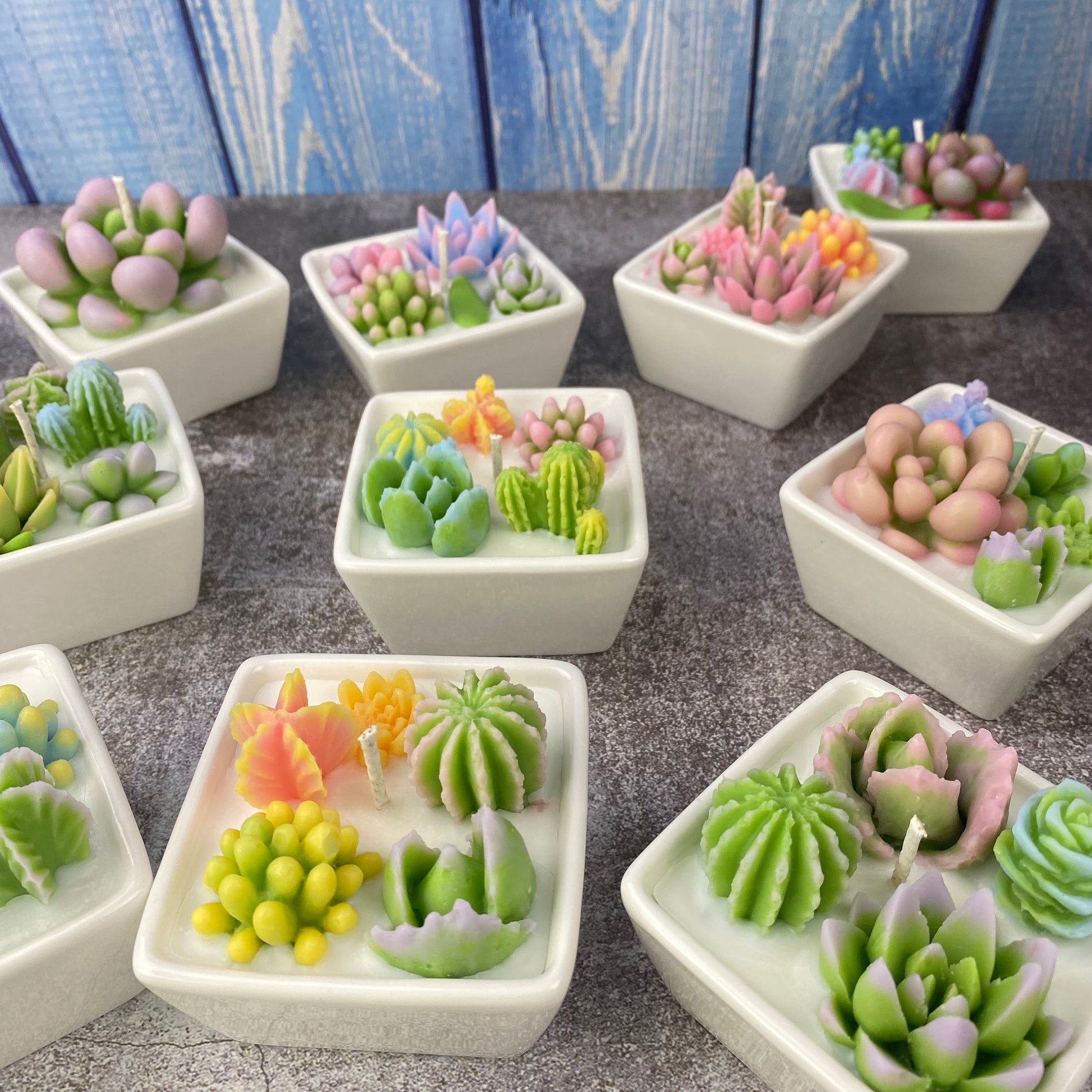 succulent garden candle Succulent Container Candle – Duckling Candle
