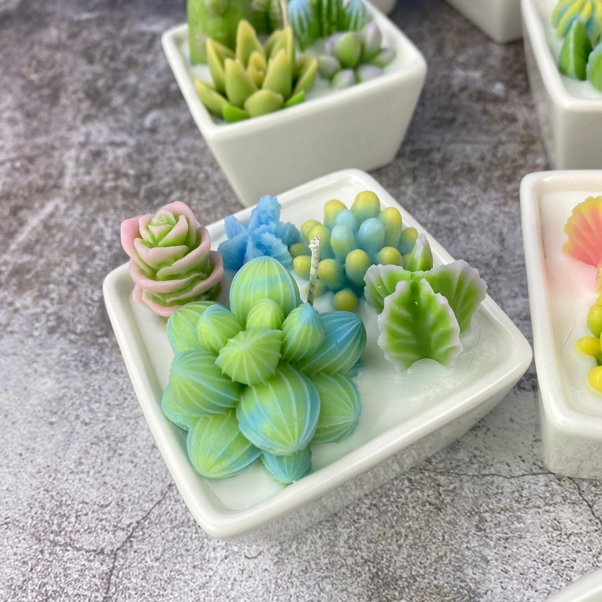 Succulent container handmade candle | scented succulent candle | Succulent lovers| Succulent garden｜Cactus Gardens candle | desk plant