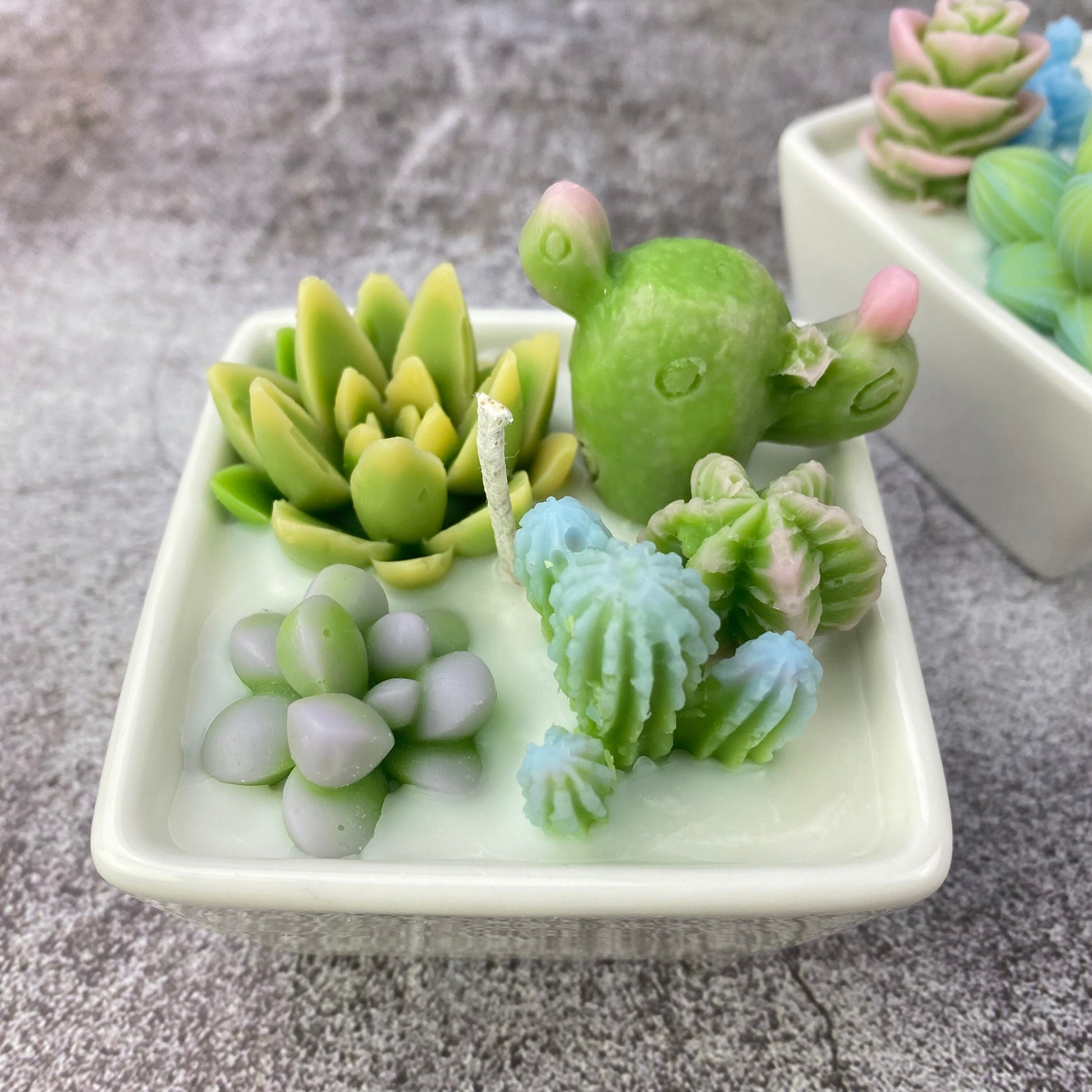 Succulent container handmade candle | scented succulent candle | Succulent lovers| Succulent garden｜Cactus Gardens candle | desk plant