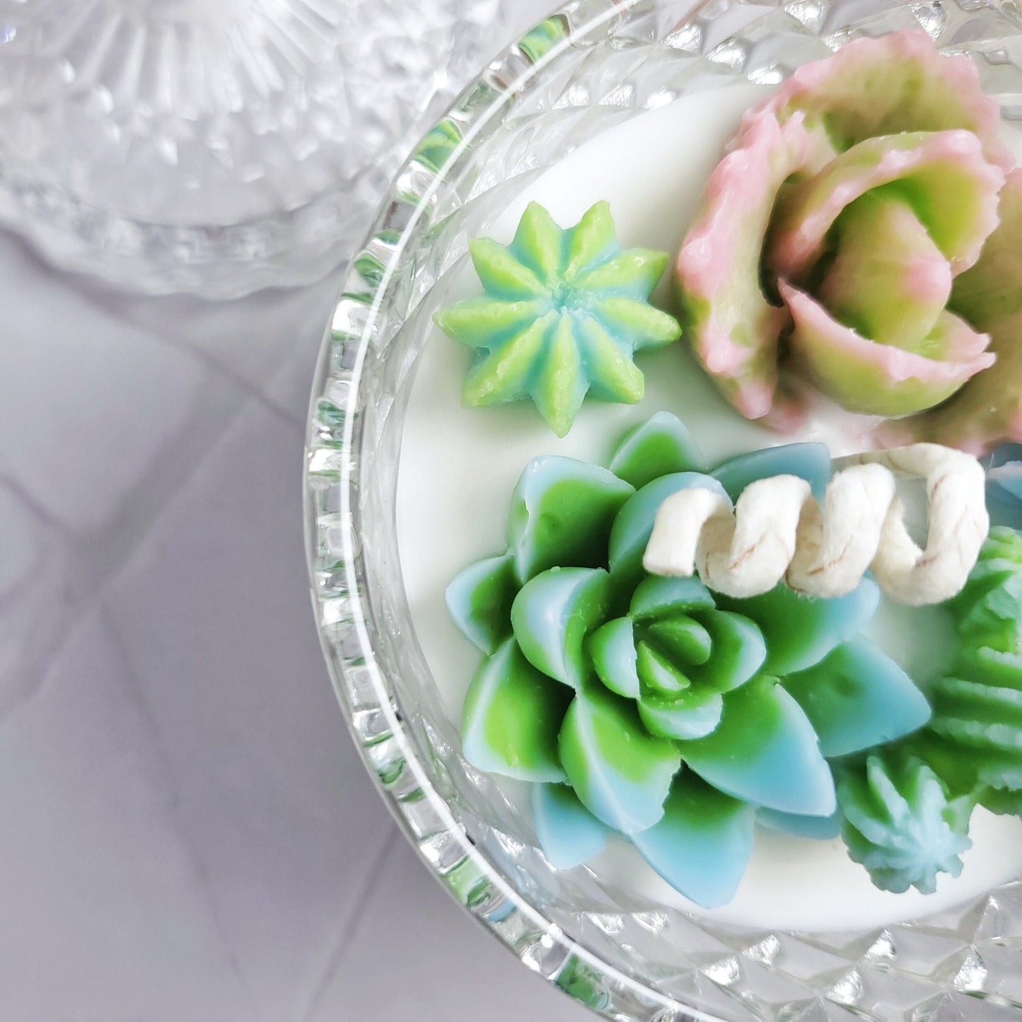 Cactus Garden candle/ Handmade candle/ Succulent candle /Pastel succulent candle/House Warming Gift/Crystal Jar candle with lid/candle gif