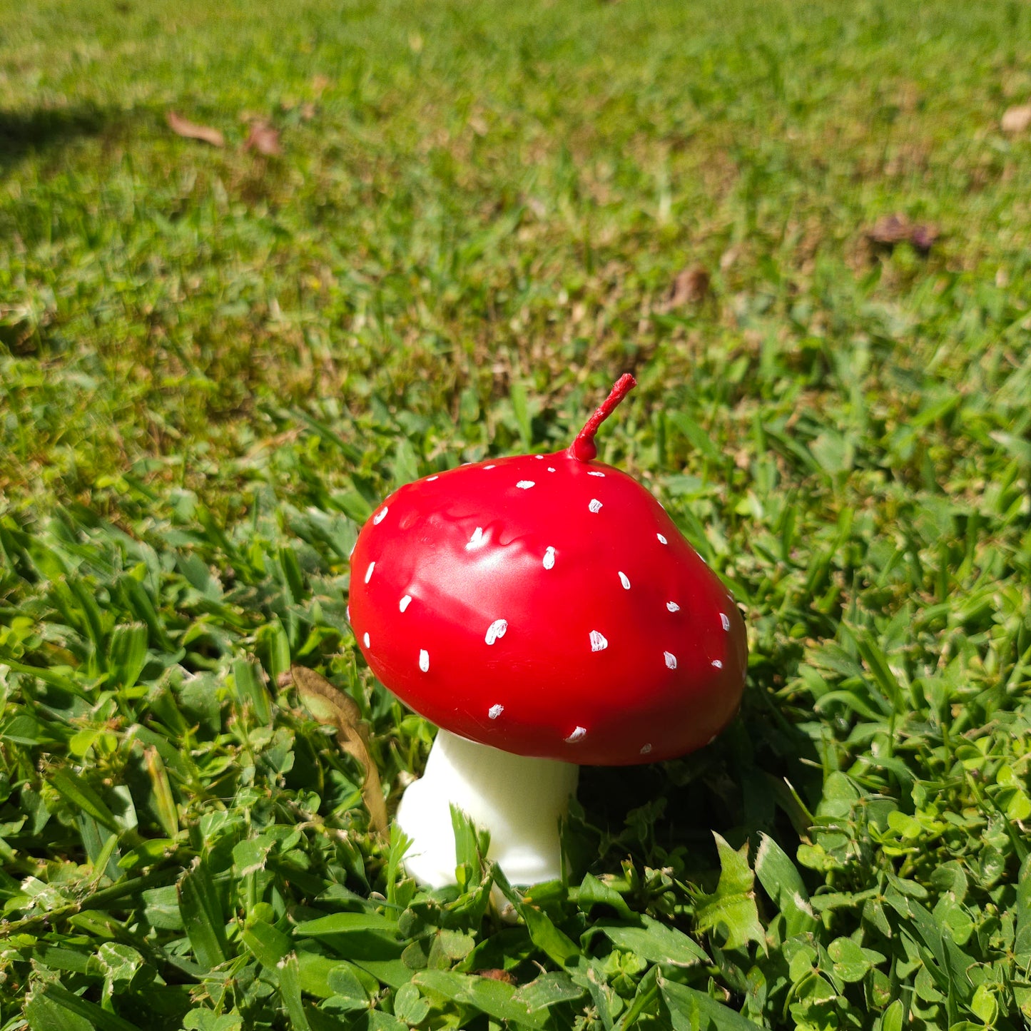 Mushroom candle|Fun candle |handmade candle|mushroom decor| Plant candle| candle | desk decor|gift for her /Decorative candle/Birthday gift