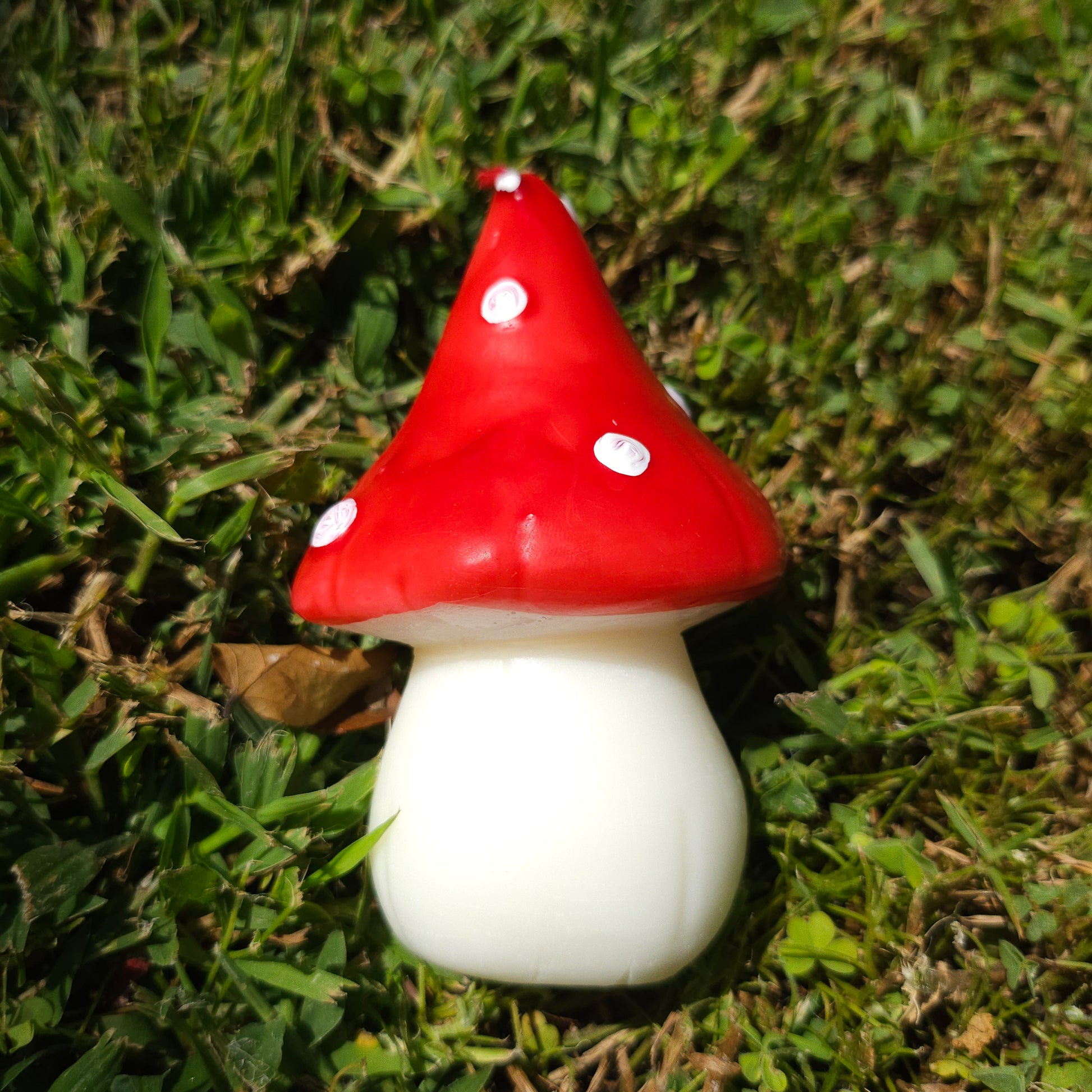 Pointed mushroom