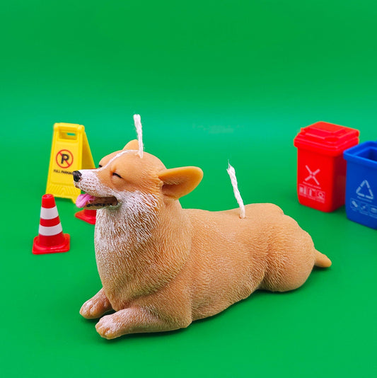 corgi candle